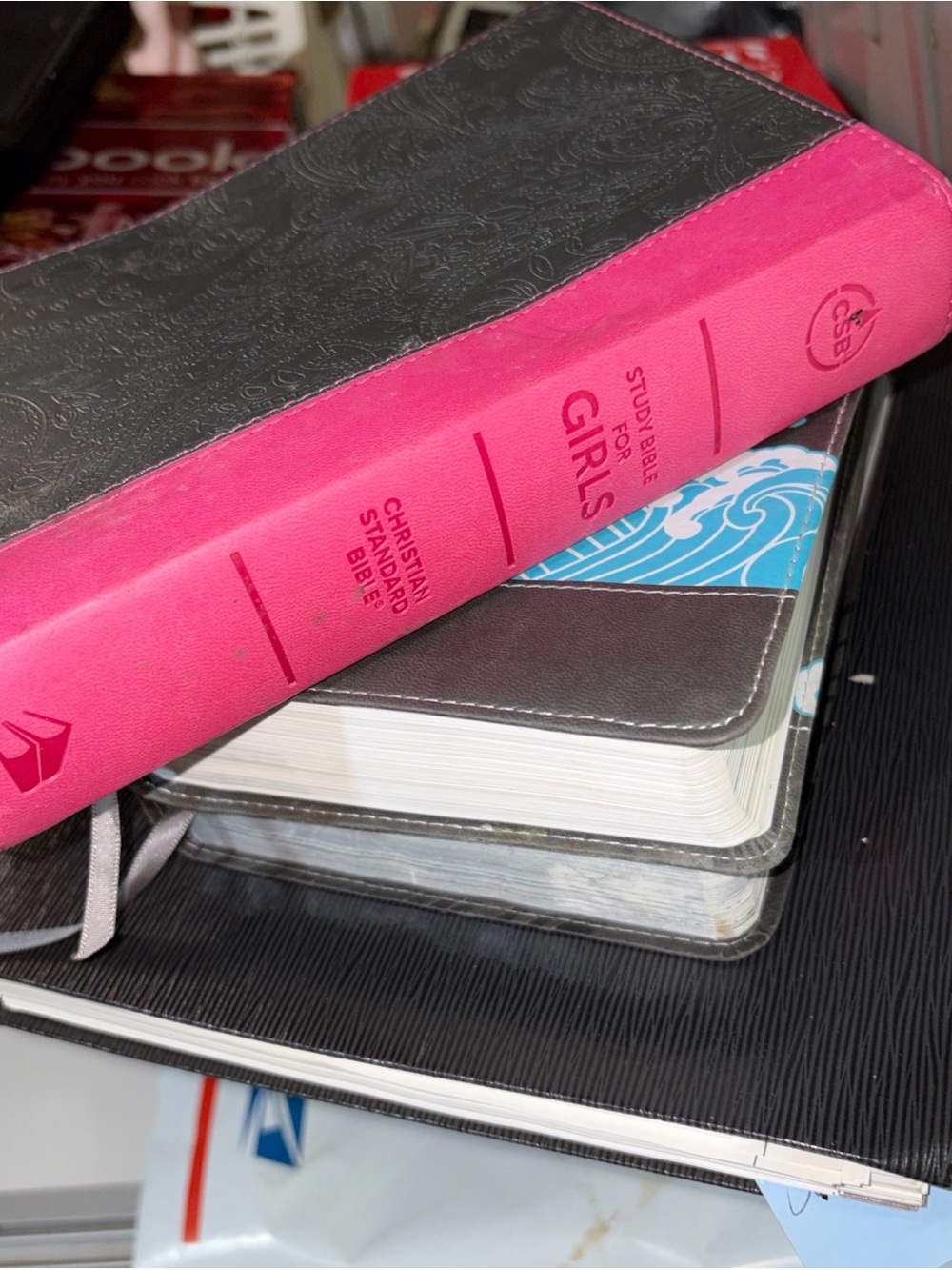 Study Bible for Girls Pink & Black, for boys grey and blue and adventure Bible